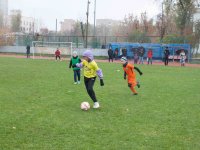 untitled-6772