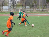 untitled-7037