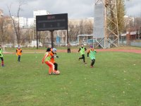 untitled-7137