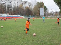 untitled-7145