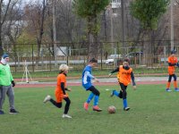 untitled-7333