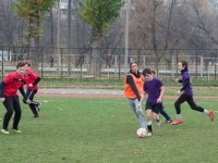 untitled-7499