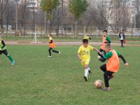 untitled-7780