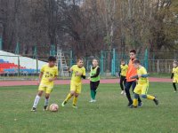 untitled-7781