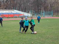 untitled-8008