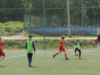 futbol-1708