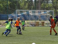 futbol-2384