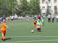 futbol-2404