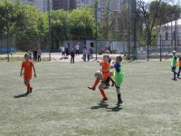 futbol-2445