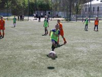 futbol-2446