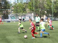 futbol-2454