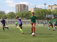 futbol-2478
