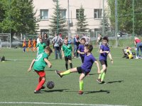 futbol-2481