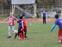 futbol-5480