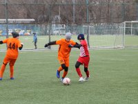 IMG_0388