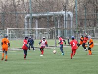 IMG_0519