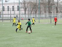 IMG_0523