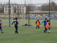 IMG_0601