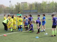 futbol-1195