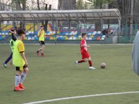 futbol-1337
